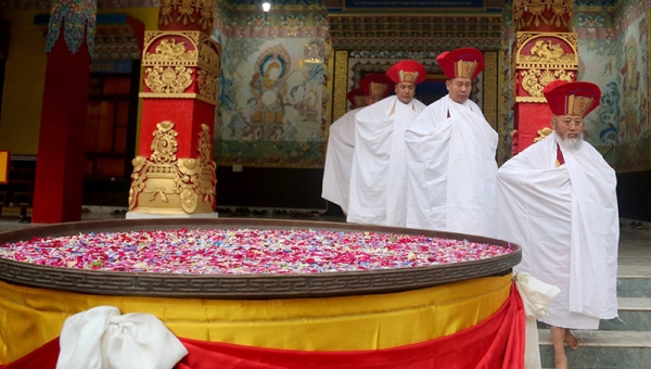The Cotton-Clad Procession